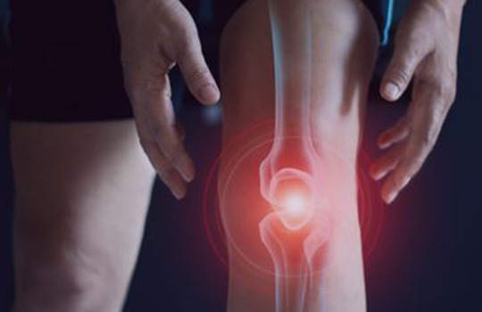 Les pathologies du genou
